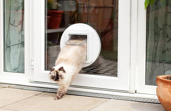 Buy SureFlap Mikrochip Cat door Pet door flap White 1 pc s Conrad Electronic