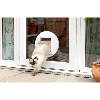 Buy SureFlap Mikrochip Cat door Pet door flap White pc(s