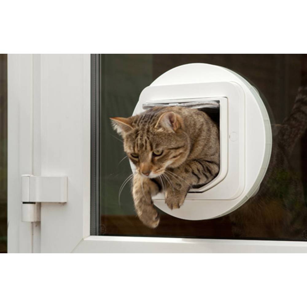 Electronic Cat Flap Uk Electronic Cat Flap Uk
