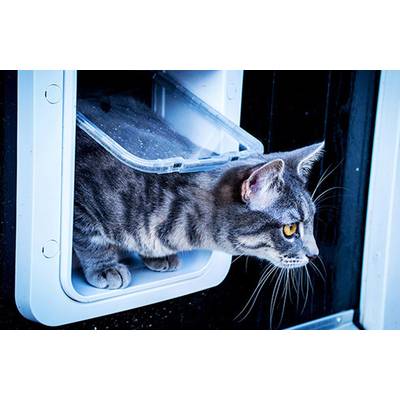 Buy SureFlap Mikrochip Cat door Pet door flap White pc(s