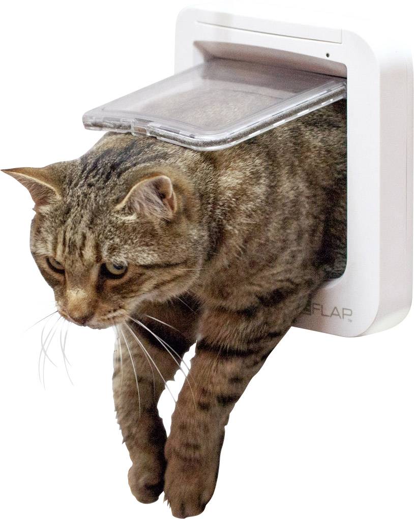 A tabby cat is climbing through a cat flap, with its head and front paws already outside.