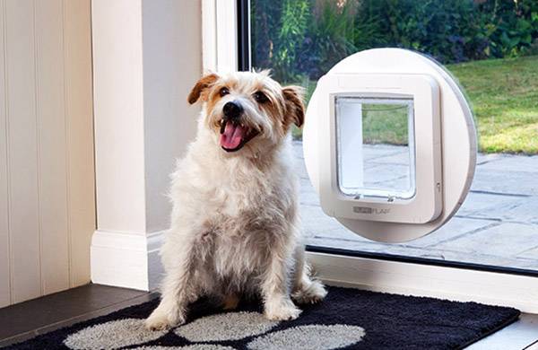 Buy SureFlap Mikrochip Pet door Pet door flap White 1 pc s Conrad Electronic