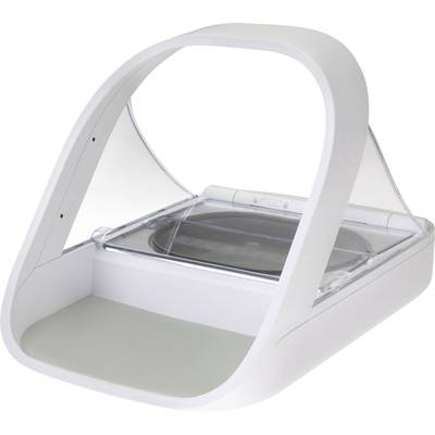 An automatic pet feeder with a transparent, curved lid, suitable for small pets such as cats or small dogs.