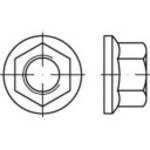 Flange Nuts