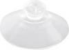 Kash Suction cup 1.1.401208 Clear, Transparent 1 pc(s)