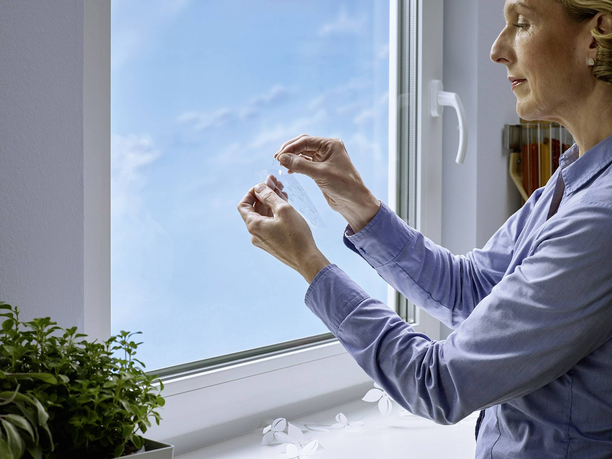 A person in a blue shirt opens a window and places something inside. Next to it, a plant sits on the windowsill.