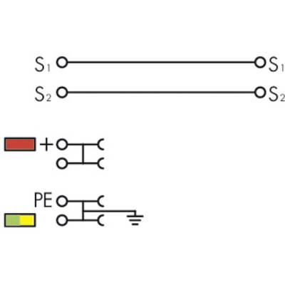 Circuit diagram: Two switches 'S1' and 'S2' connected, underneath a red one with '+' and a yellow-green PE earth terminal.
