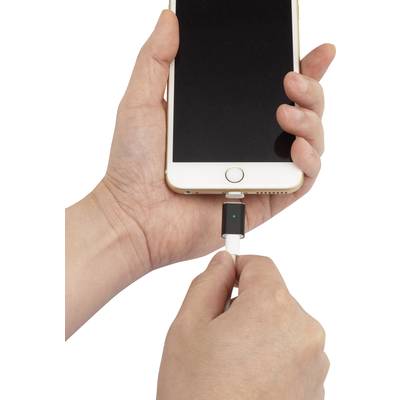 Renkforce Adapter Black-3