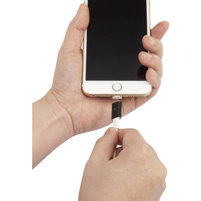 Renkforce Adapter Black-4