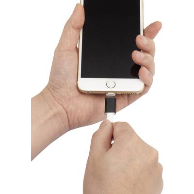 Renkforce Adapter Black-5