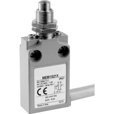Grey, rectangular end switch with screws and cable. On the label: 'MEM1G21X', technical specifications and CE mark.