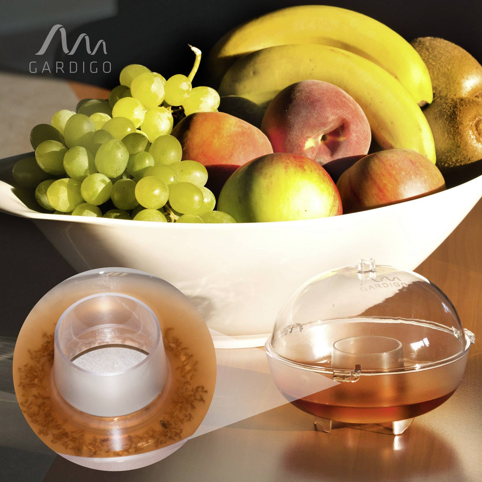 A fruit bowl with bananas, grapes and apples. Next to it a transparent fruit fly trap.