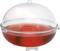 Transparent insect trap with a red base and clear dome, used for monitoring and controlling insects.