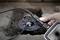 A hand holds an endoscope for inspecting a pipe that runs through a flange in the floor. The device displays live images on a screen.