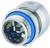 Metal connection element with a blue seal, designed for a secure and tight connection in piping systems.