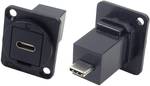 XLR Adapter USB C socket on USB C