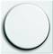 A circular, white light switch on a rectangular plate.
