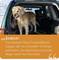 A dog stands in the boot of a car, surrounded by a winter landscape. Text reads: 'Finally! A robust wet and dry vacuum cleaner that can tackle any dirt. Now I won't get into trouble with the master.'