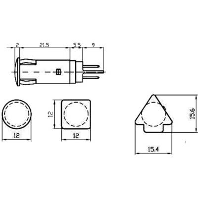 Diagram shows technical drawings of an electronic plug with dimensions: length 21.5 mm, width 12 mm, height 15.6 mm.