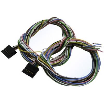 Two bundles of multi-coloured cables, each with a black plug at the end. The cables are twisted together.