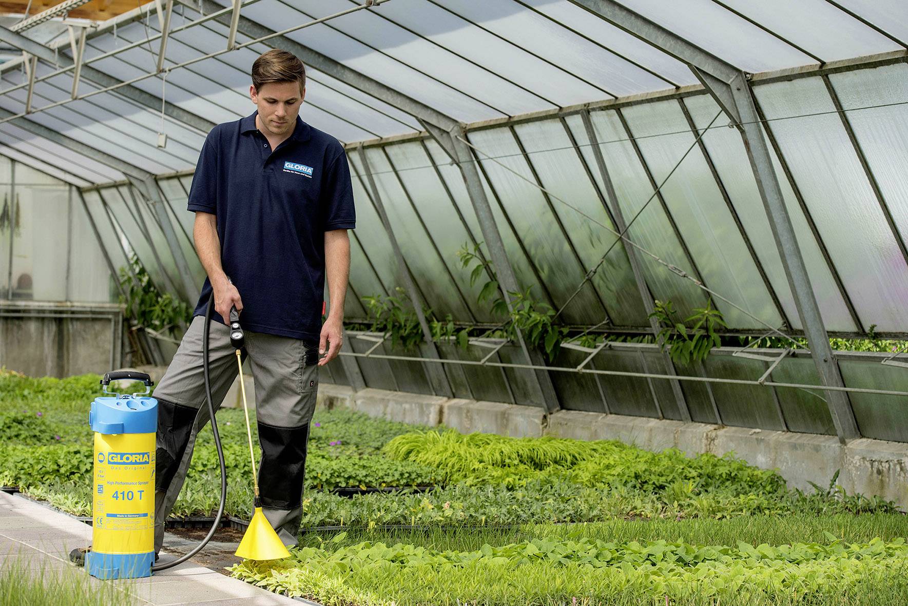 A man in a greenhouse is spraying plants with a yellow spray bottle. The plants are green and densely grown.