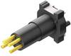 Weidmüller 2421870000 Sensor/actuator built-in connector M8 Plug, vertical mount No. of pins (RJ): 4 25 pc(s)
