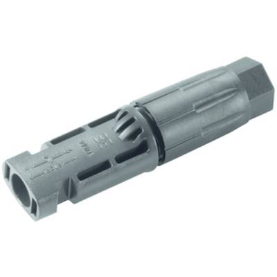 A single MC4 connector in grey, a standardised electrical plug connector for solar modules.