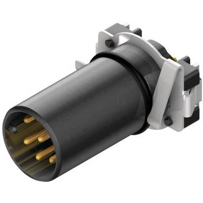 A cylindrical, black connector plug with gold-coloured contact pins, mounted in a rectangular frame.