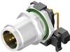 Weidmüller 2423750000 Sensor/actuator built-in connector M12 Plug, horizontal mount No. of pins (RJ): 5 10 pc(s)