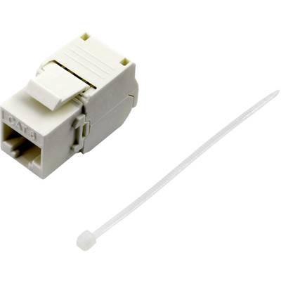 TRU COMPONENTS  RJ45 coupling, CAT 6 93038C369 Connector, straight   No. of pins (RJ) 8 White 1 pc(s)