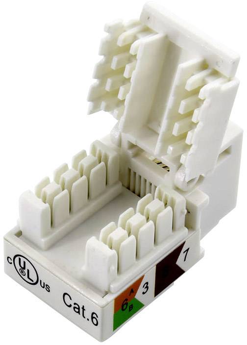 White Cat.6 network socket with open housing, showing internal connections and colour codes for cable installation.