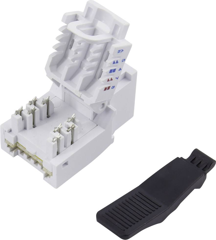 Buy TRU COMPONENTS RJ45 coupling, CAT 6 93038C375 Connector, straight ...