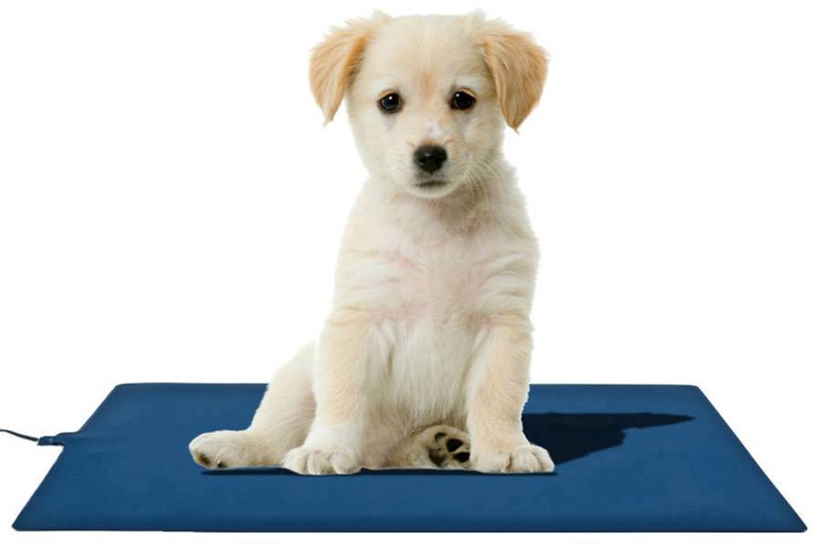 AccuLux Mat4Pet 464365 Heat mat (L x W) 500 mm x 300 mm Blue