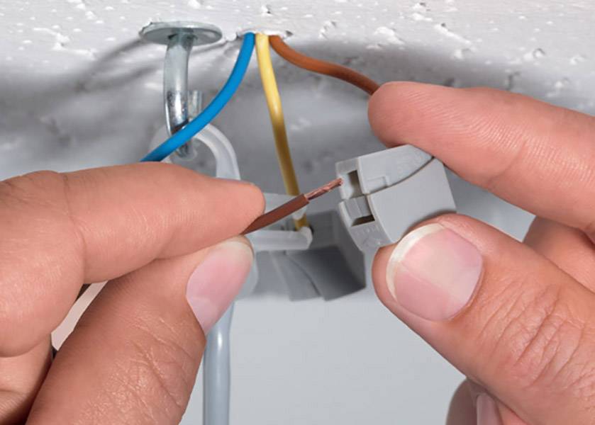 A person is connecting cables to a ceiling rose, which is fixed to a ceiling. The cables have blue, yellow, and brown insulation.