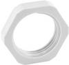 GMPG21GR Locknut screw fixing, with locknut PG21 PG21 Polyamide Grey 1 pc(s)