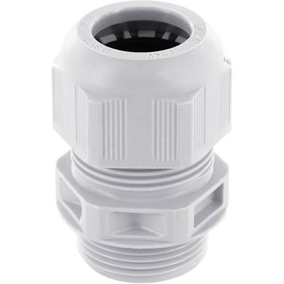 A white plastic cable gland with threaded ridges is used for securely connecting cables and enclosures.