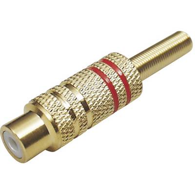 A golden RCA plug with a red ring for audio and video connections.