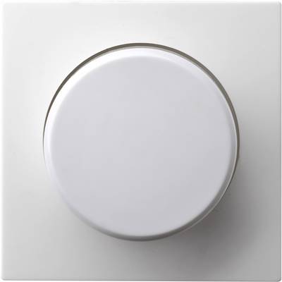 A white dimmer switch on a white wall plate, viewed from above.