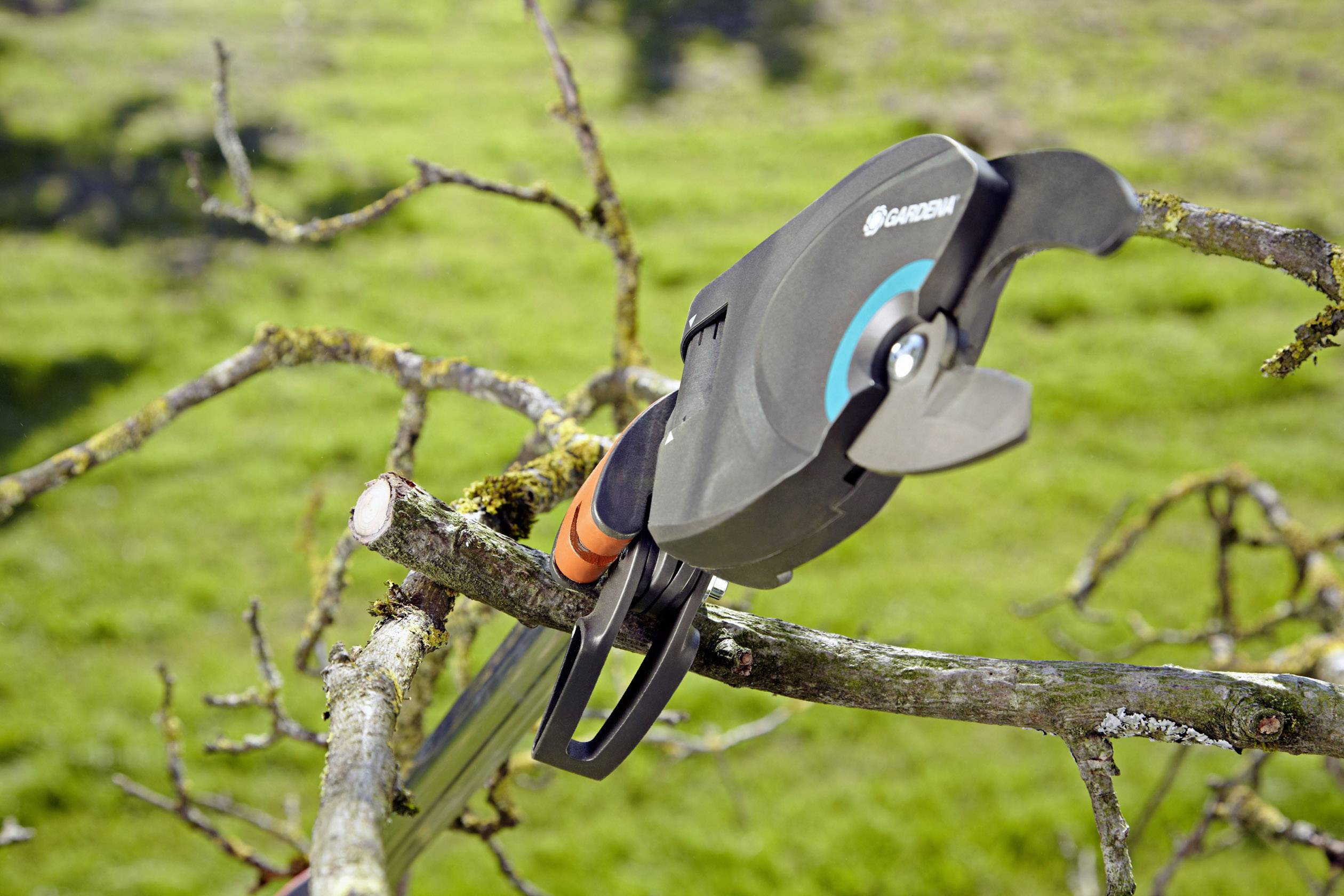 A pair of pruning shears precisely cuts a branch over a green lawn. It symbolises gardening and tree maintenance.