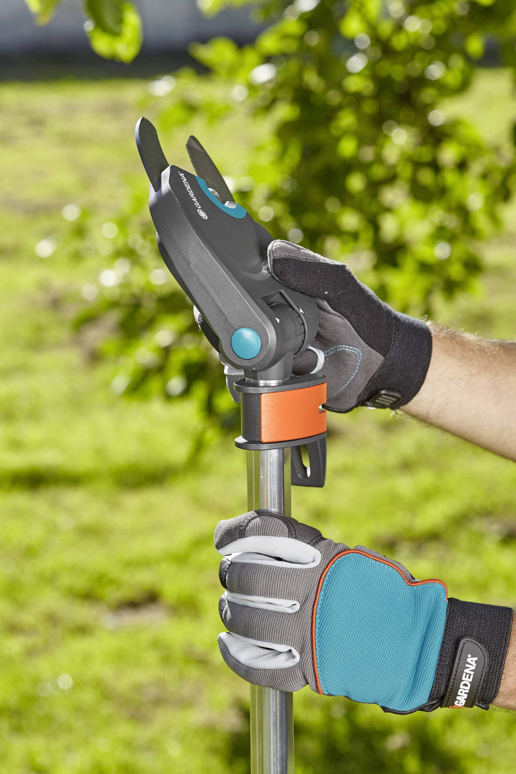 A person is wearing work gloves and holding a long-handled pruning shears to cut high branches. Trees and grass are visible in the background.