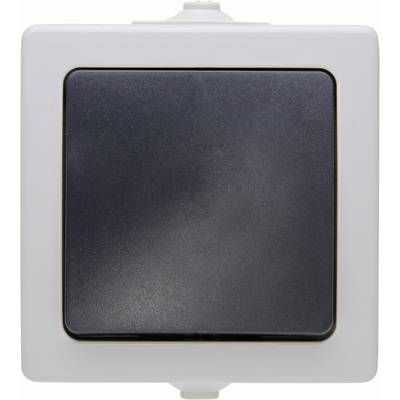A single light switch with a bright frame and dark grey surface in the centre, housed in a rectangular casing.