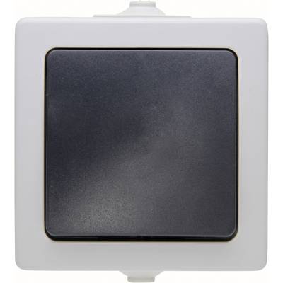 Image of Kopp 565756004 Wet room switch product range Cross-switch Nautic Grey