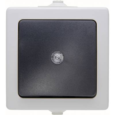 Image of Kopp 566356003 Wet room switch product range Switch Nautic Grey