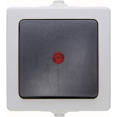 A white wall switch with a black toggle switch and a small red dot in the centre indicates the on/off state.