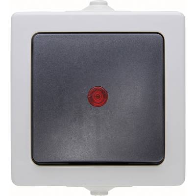 Image of Kopp 566656002 Wet room switch product range Control switch Nautic Grey