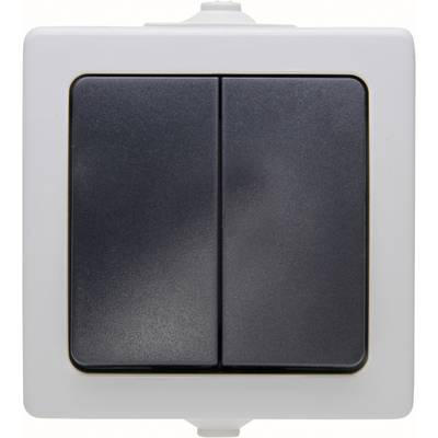 A double light switch with a black plastic cover and white mounting frame.