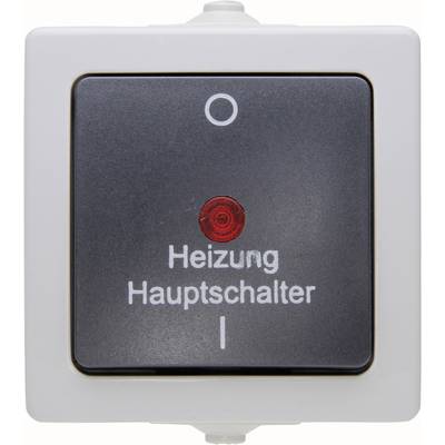 Heating main switch with indicator light. Switch shows 'O' for Off with red control light.
