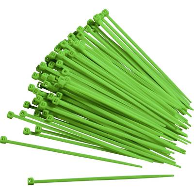 TRU COMPONENTS 93038c411  Cable tie 150 mm 2.50 mm Green Luminiscent 100 pc(s)
