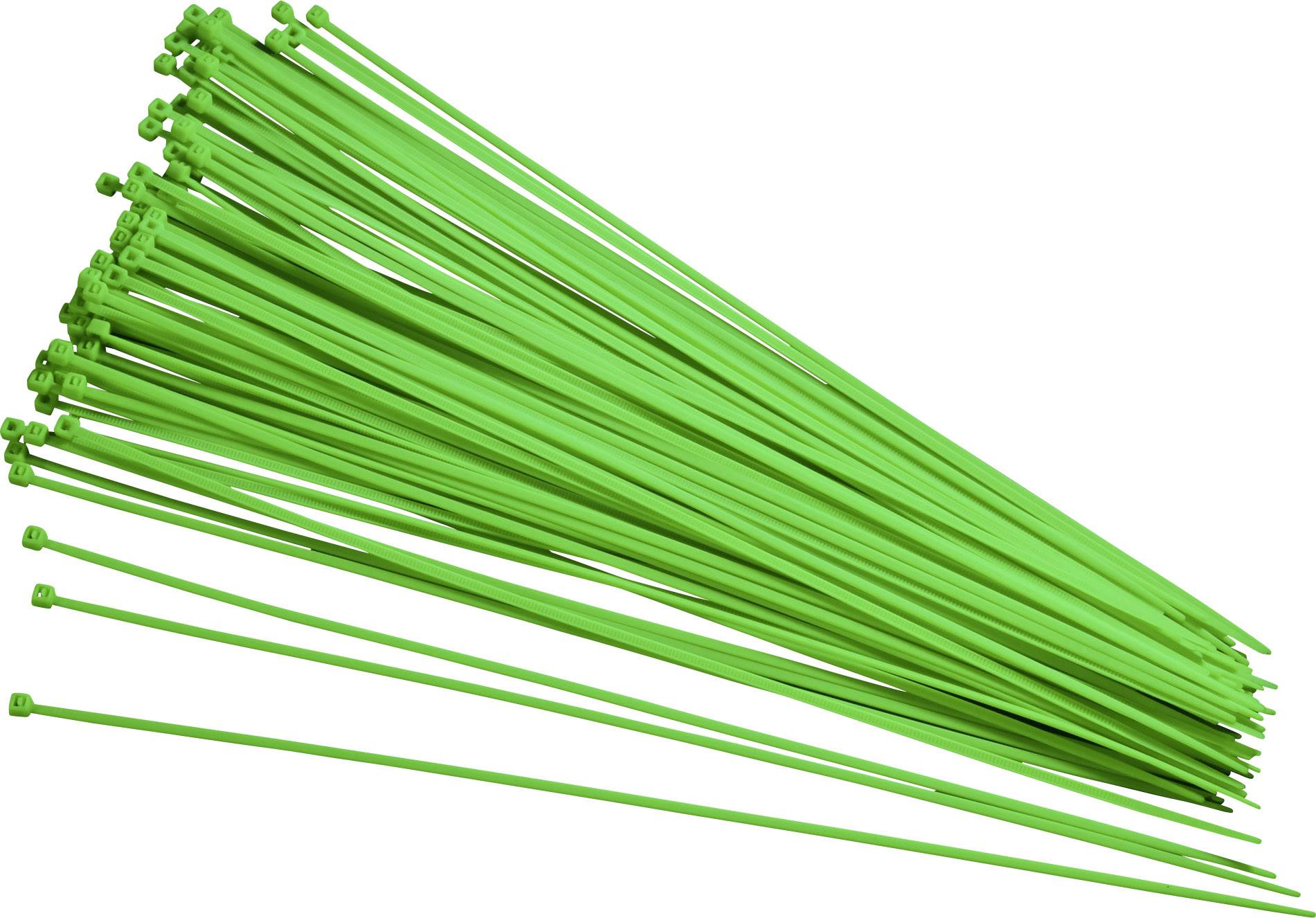 TRU COMPONENTS 93038c420 Cable tie 300 mm 2.80 mm Green Luminescent 100 pc(s)