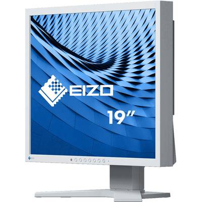 A 19-inch monitor by EIZO, with a blue, patterned background on the screen.